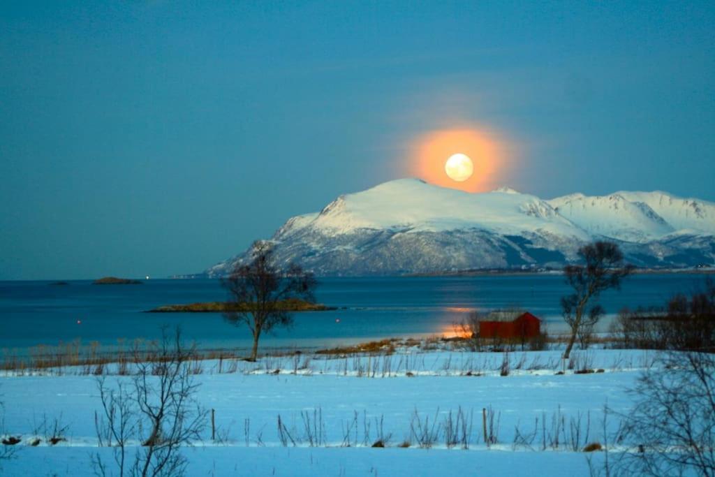 House By The Sea Villa Sortland Luaran gambar
